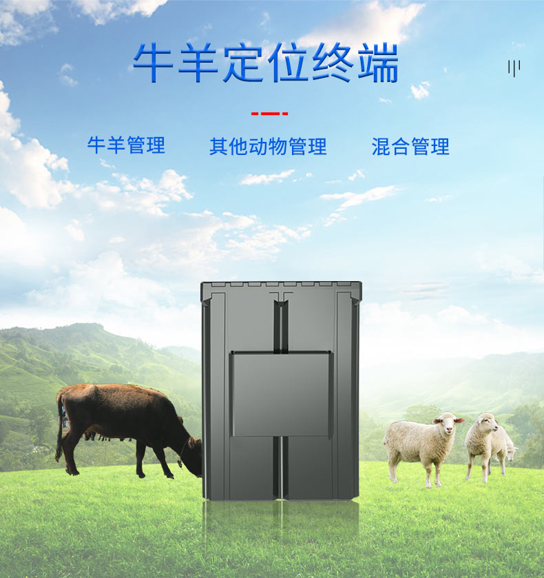 c035-詳情頁_04.jpg